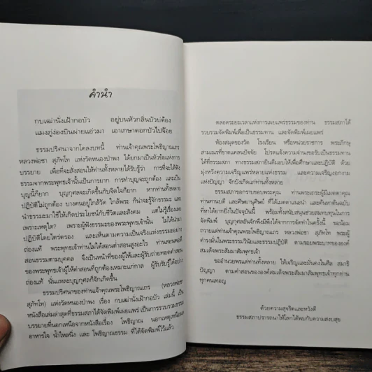 กบเฒ่านั่งเฝ้ากอบัว - พระโพธิญาณเถร (หลวงพ่อชา สุภทโท) รูปที่ 7