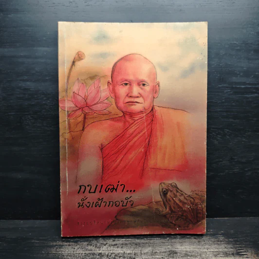 กบเฒ่านั่งเฝ้ากอบัว - พระโพธิญาณเถร (หลวงพ่อชา สุภทโท) รูปที่ 1
