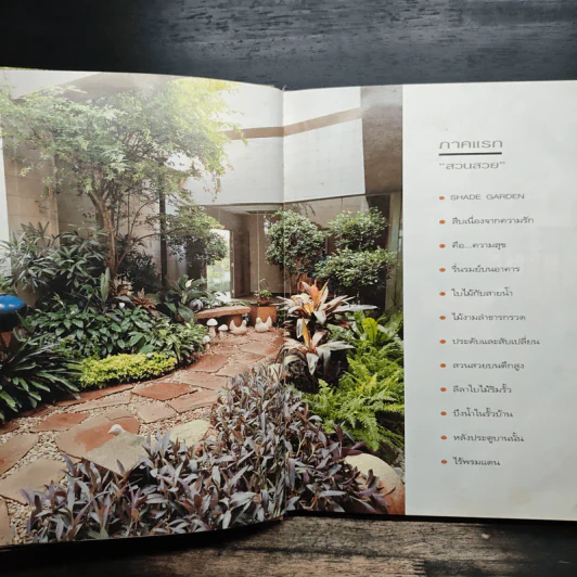 สวนในบ้าน เล่ม 2 รูปที่ 8