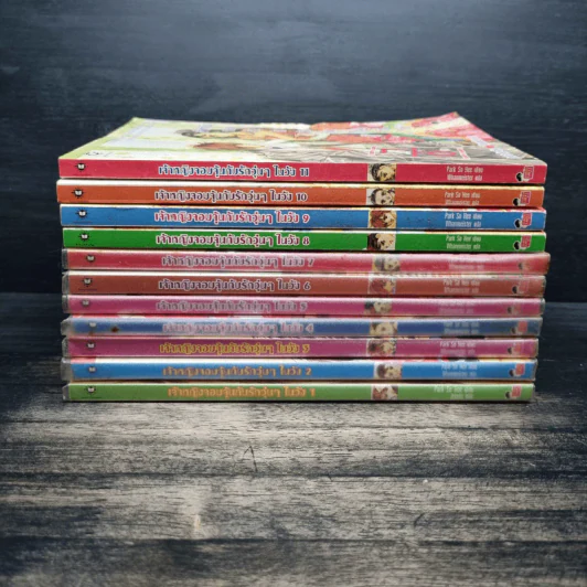 หนังสือการ์ตูน เจ้าหญิงจอมจุ้นกับรักวุ่นๆในวัง เล่ม 1-11 รูปที่ 2