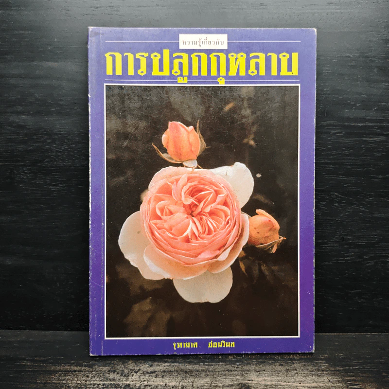 การปลูกกุหลาบ - จุฑามาศ รูปที่ 1