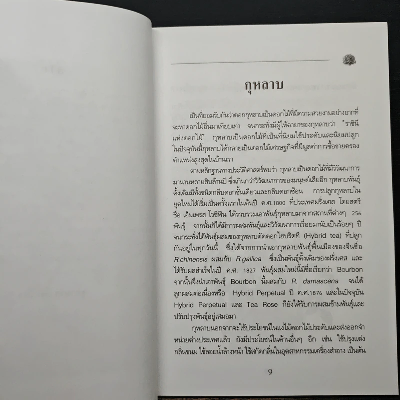 การปลูกกุหลาบ - จุฑามาศ รูปที่ 8