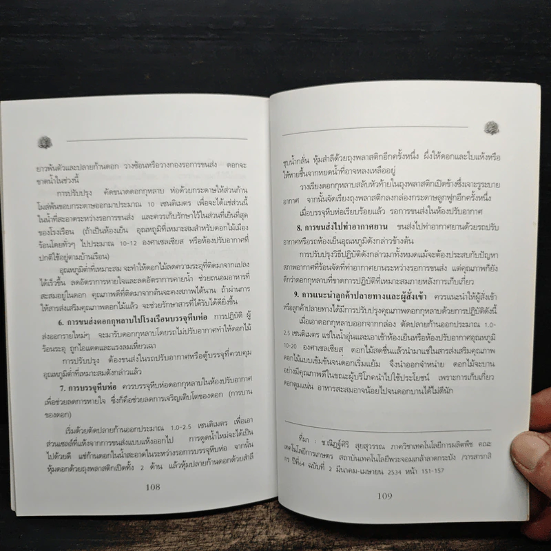 การปลูกกุหลาบ - จุฑามาศ รูปที่ 9