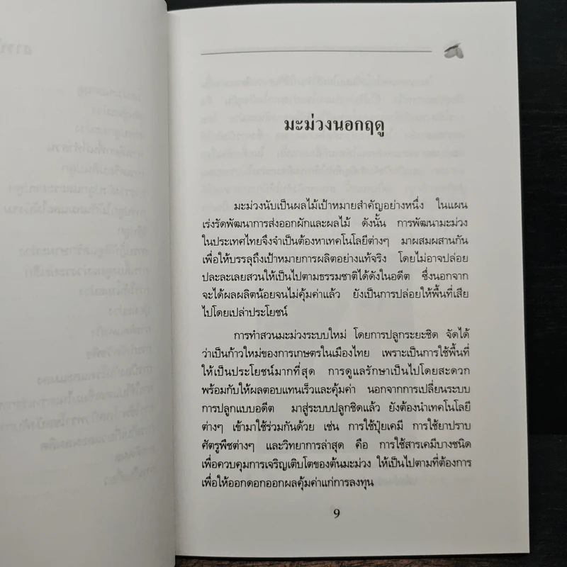 คู่มือการปลูกมะม่วงนอกฤดู รูปที่ 8