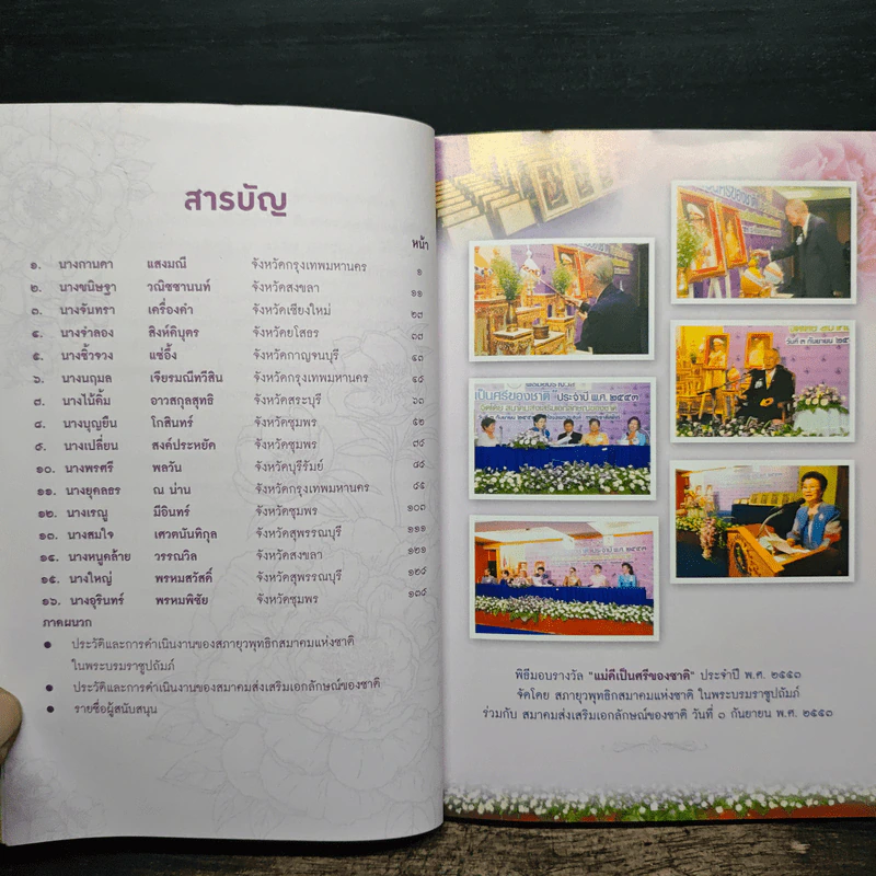แม่ดีเป็นศรีของชาติ ประจำปี พ.ศ.2553 รูปที่ 8