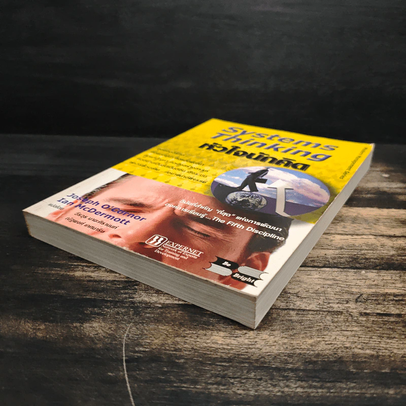 Systems Thinking หัวใจนักคิด รูปที่ 4
