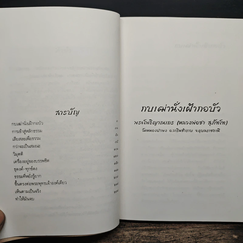 กบเฒ่านั่งเฝ้ากอบัว - พระโพธิญาณเถร (หลวงพ่อชา สุภทโท) รูปที่ 8