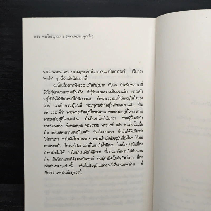 กบเฒ่านั่งเฝ้ากอบัว - พระโพธิญาณเถร (หลวงพ่อชา สุภทโท) รูปที่ 10