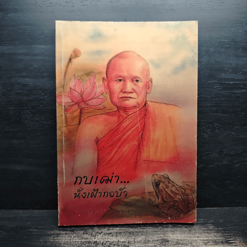 กบเฒ่านั่งเฝ้ากอบัว - พระโพธิญาณเถร (หลวงพ่อชา สุภทโท) รูปที่ 1