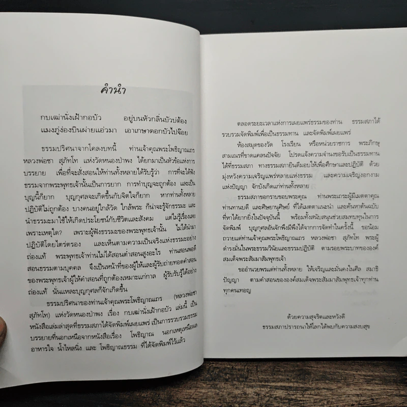 กบเฒ่านั่งเฝ้ากอบัว - พระโพธิญาณเถร (หลวงพ่อชา สุภทโท) รูปที่ 6