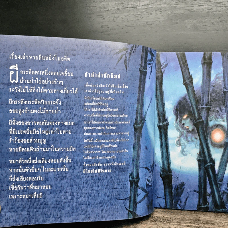 ผีไทยไม่มีวันตาย - ณิชา พีชวณิชย์ รูปที่ 6