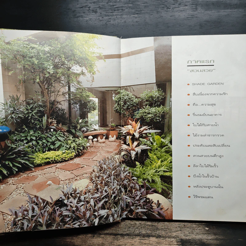 สวนในบ้าน เล่ม 2 รูปที่ 8
