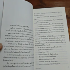 อุทกภัยในดวงตา - ปราบดา หยุ่น รูปที่ 9
