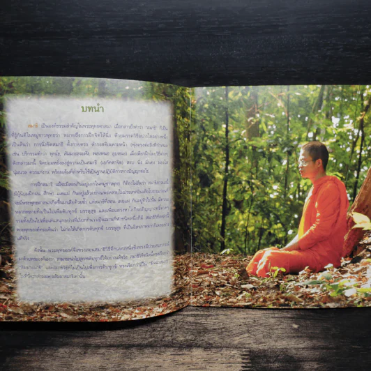 สัมมาสมาธิ ลมหายใจแห่งการตื่นรู้ - ว.วชิรเมธี รูปที่ 9