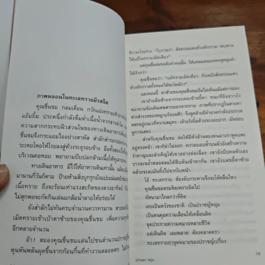 อุทกภัยในดวงตา - ปราบดา หยุ่น รูปที่ 9
