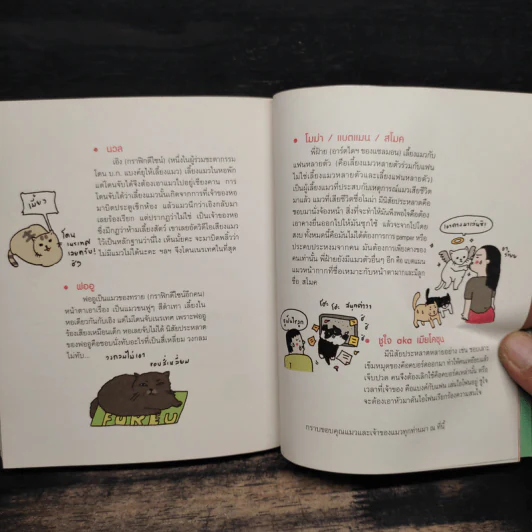 Cat Study วิชาแนะแมว - ทีปกร วุฒิพิทยามงคล รูปที่ 8