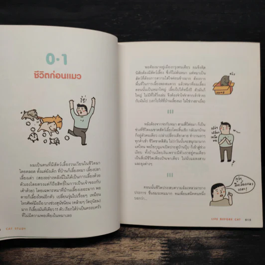 Cat Study วิชาแนะแมว - ทีปกร วุฒิพิทยามงคล รูปที่ 7