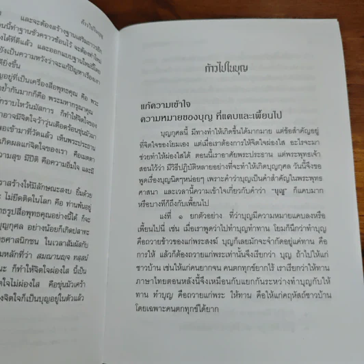 ก้าวไปในบุญ - พระพรหมคุณากรณ์ (ป.อ.ปยุตโต) รูปที่ 8