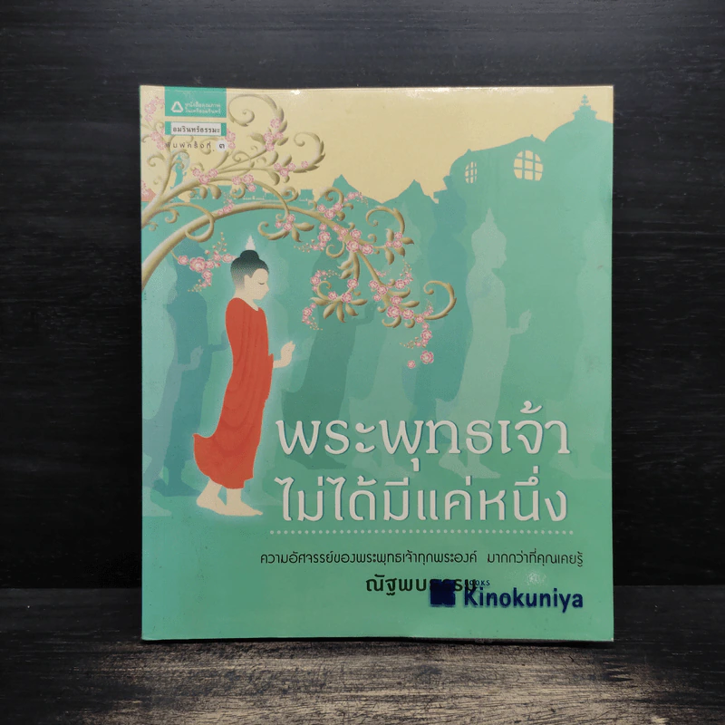 พระพุทธเจ้าไม่ได้มีแค่หนึ่ง - ณัฐพบธรรม รูปที่ 1