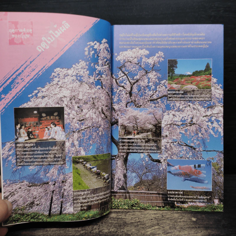 หนังสือแนะนำ การท่องเที่ยวในประเทศญี่ปุ่น รูปที่ 7