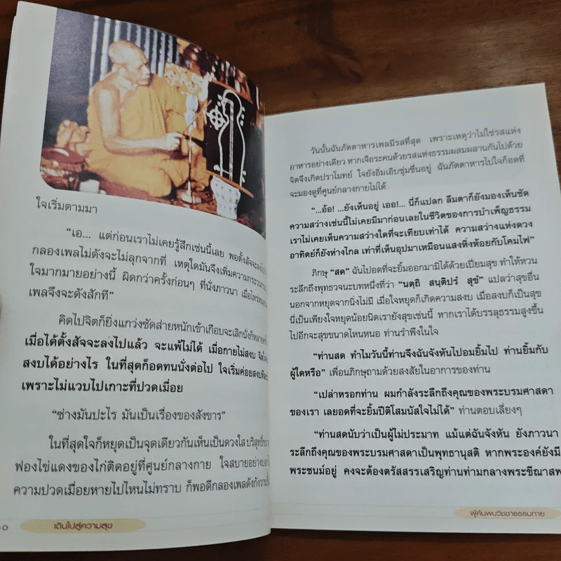 เดินไปสู่ความสุข รูปที่ 7