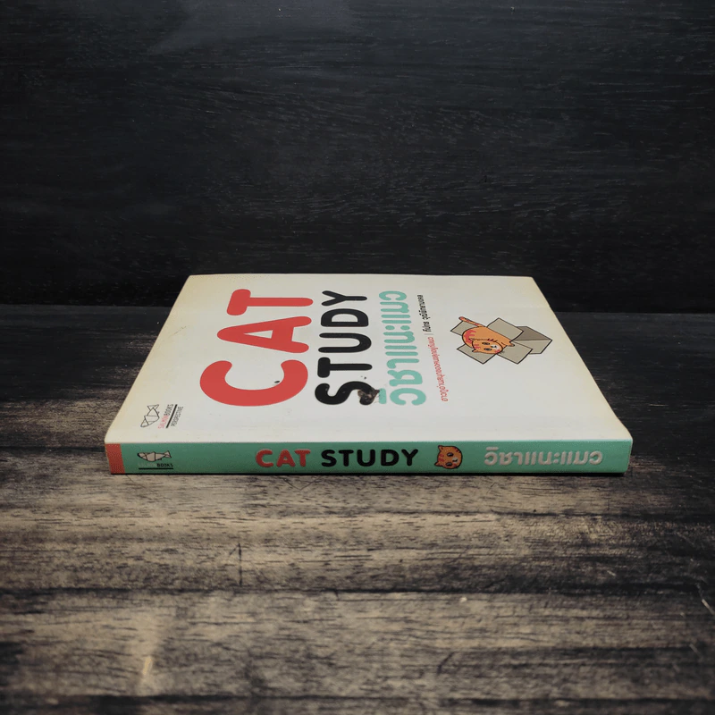 Cat Study วิชาแนะแมว - ทีปกร วุฒิพิทยามงคล รูปที่ 3