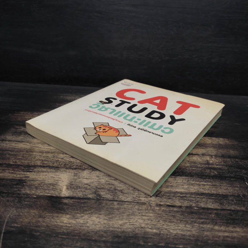 Cat Study วิชาแนะแมว - ทีปกร วุฒิพิทยามงคล รูปที่ 4