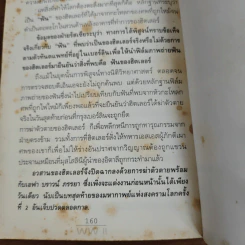 วันสุดท้ายของฮิตเลอร์ - พันทิวา รูปที่ 9