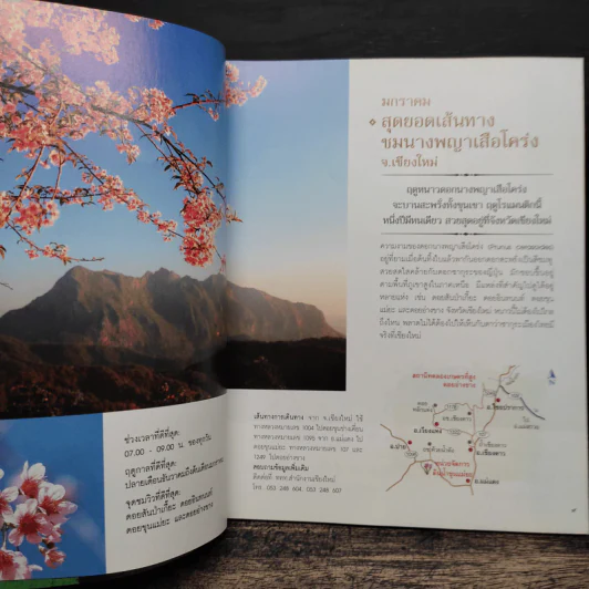 12 เดือน 7 ดาว 9 ตะวัน มหัศจรรย์เมืองไทยต้องไปสัมผัส รูปที่ 7