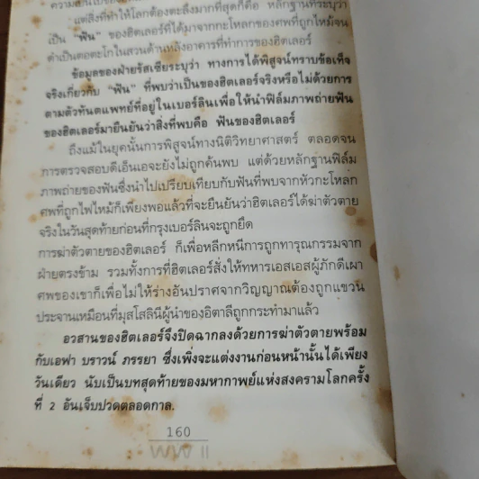 วันสุดท้ายของฮิตเลอร์ - พันทิวา รูปที่ 9