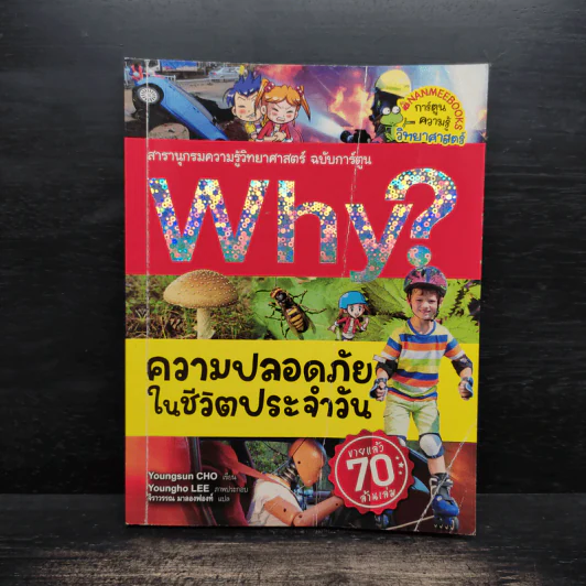 Why? ความปลอดภัยในชีวิตปนะจำวัน รูปที่ 1