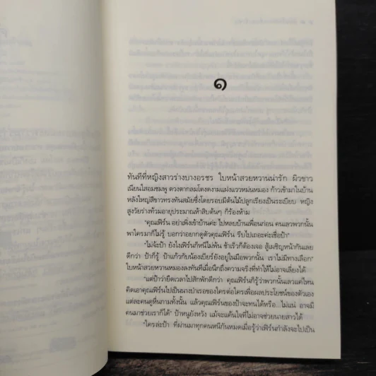แผนรักหักเหลี่ยมเจ้าพ่อ - เพลงใบไม้ รูปที่ 7