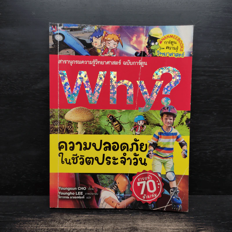 Why? ความปลอดภัยในชีวิตปนะจำวัน รูปที่ 1