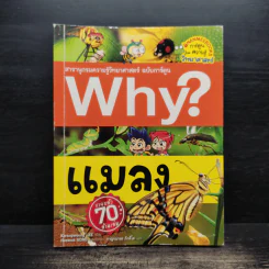 Why? แมลง รูปที่ 1