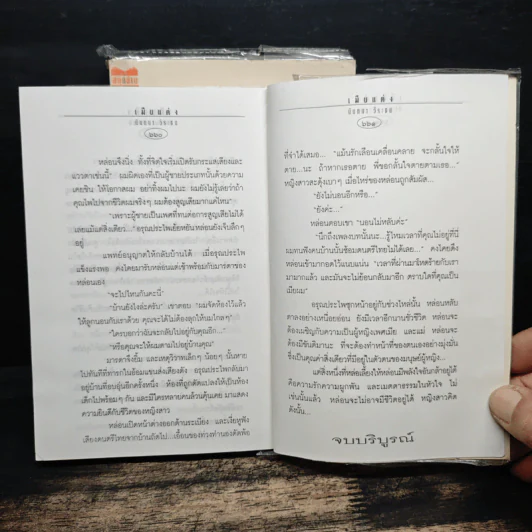 เมียแต่ง 2 เล่มจบ - นันทนา วีระชน รูปที่ 9