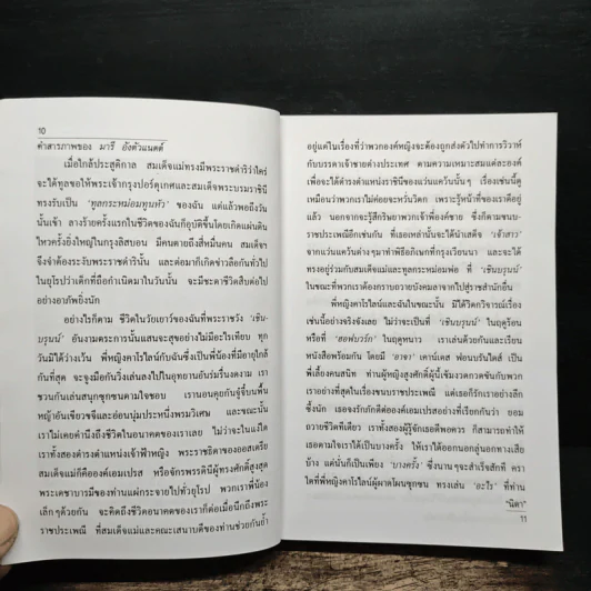 คำสารภาพของ มารี อังตัวแนตต์ - นิดา รูปที่ 8
