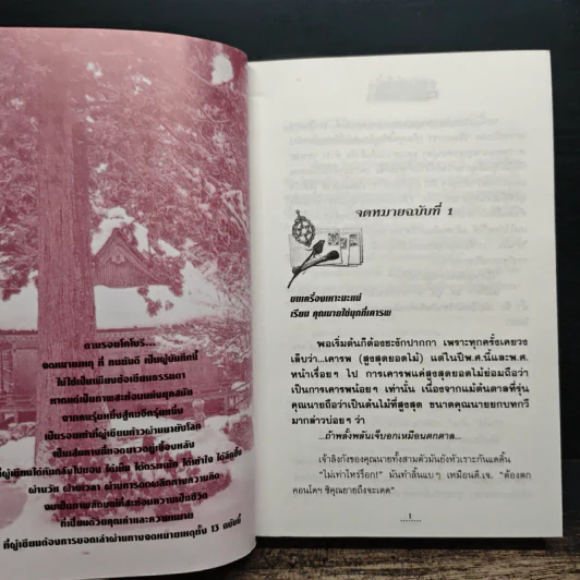 ตามรอยโกโบริ - ทมยันตี รูปที่ 8
