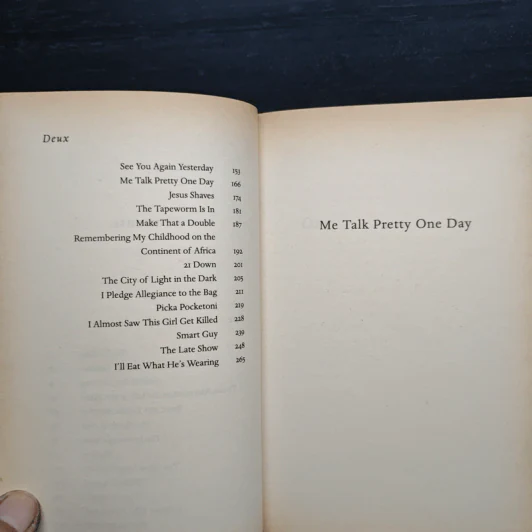 Me Talk Pretty One Day - David Sedaris รูปที่ 8
