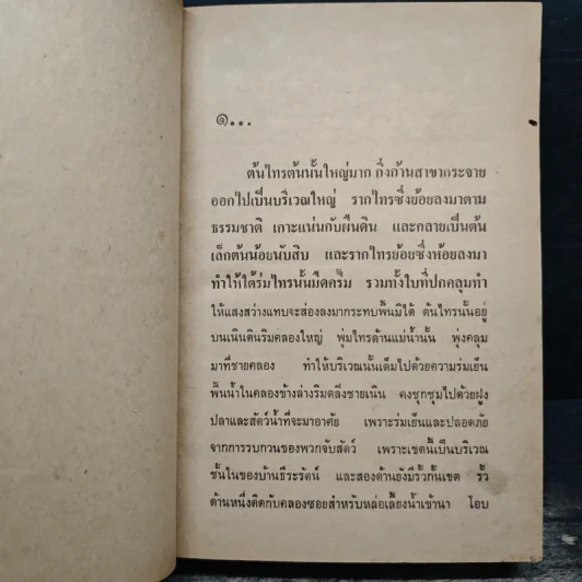 ไทรโศก เล่ม 1 - จำลักษณ์ รูปที่ 9