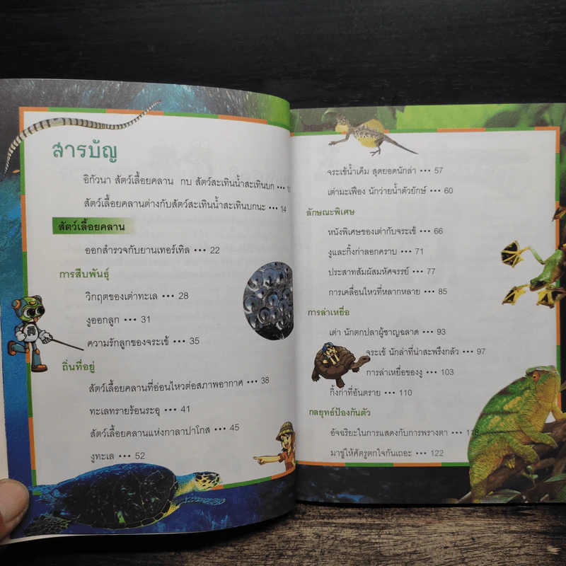 Why? สัตว์เลื้อยคลาน รูปที่ 7