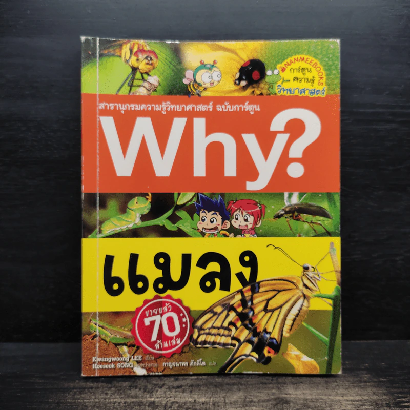 Why? แมลง รูปที่ 1