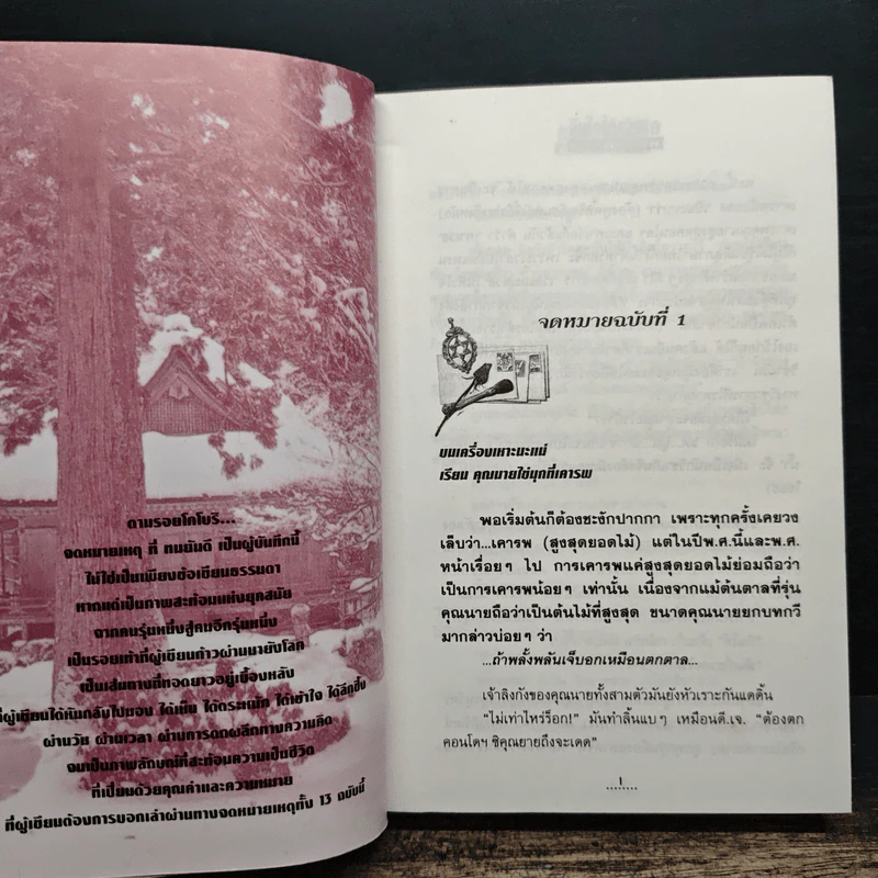 ตามรอยโกโบริ - ทมยันตี รูปที่ 8