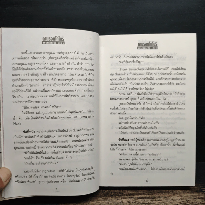 ตามรอยโกโบริ - ทมยันตี รูปที่ 9