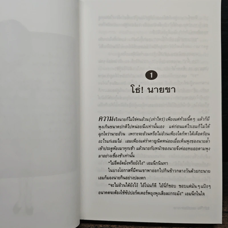 เลขานินทานาย - มนันยา รูปที่ 8