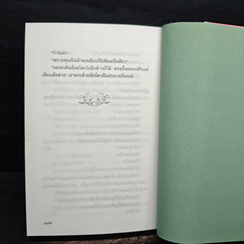 เดือนครึ่งดวง - กฤษณา อโศกสิน รูปที่ 9