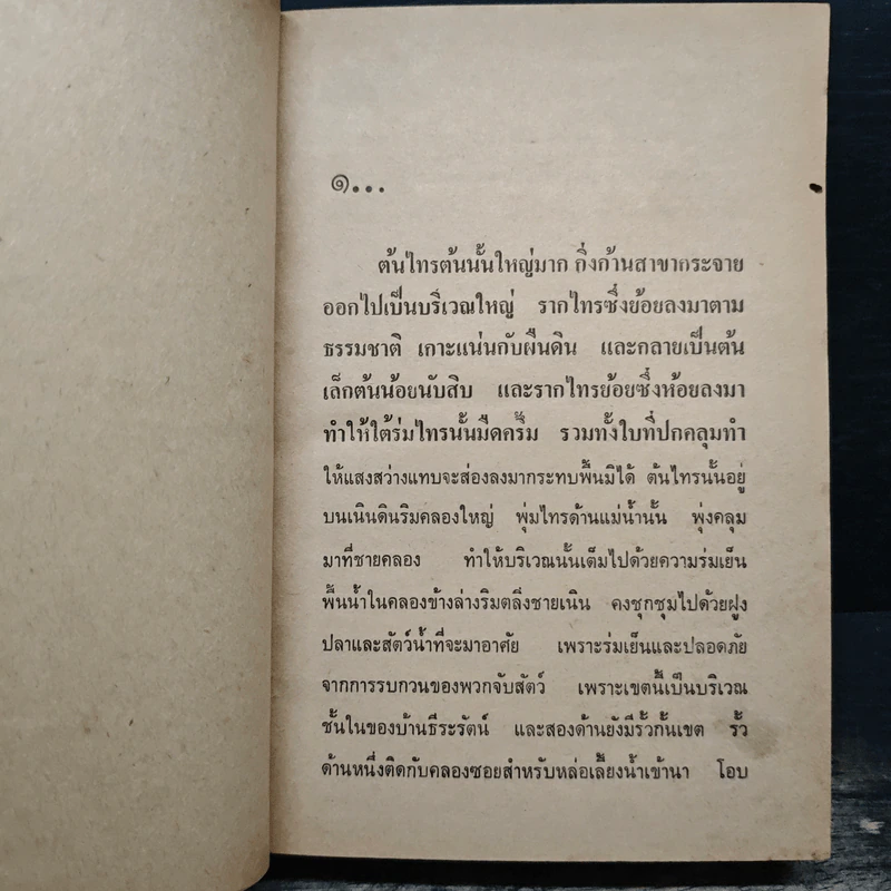 ไทรโศก เล่ม 1 - จำลักษณ์ รูปที่ 9