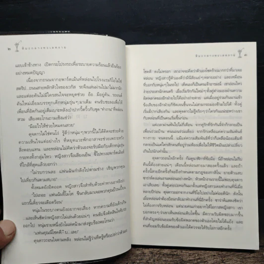 หิมะกลางทะเลทราย - กิ่งฉัตร รูปที่ 8