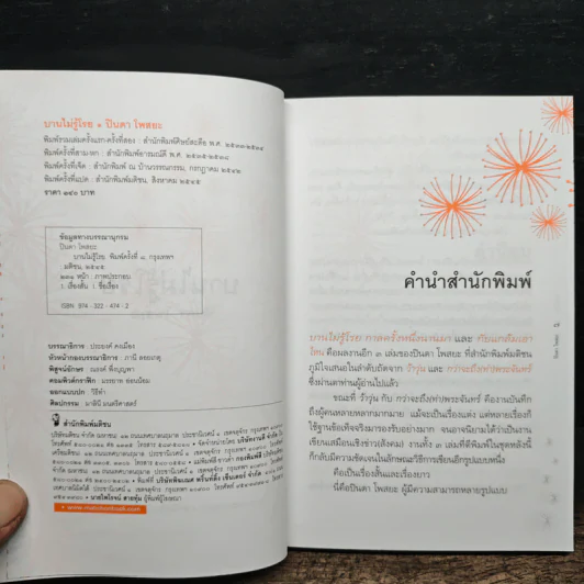 บานไม่รู้โรย - ปินดา โพสยะ รูปที่ 7