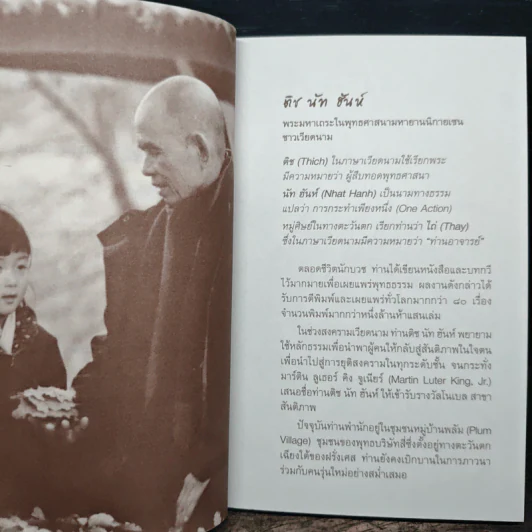 ต้นพลัม ดอกผลจากประสบการณ์ภาวนากับติช นัท ฮันท์ รูปที่ 8