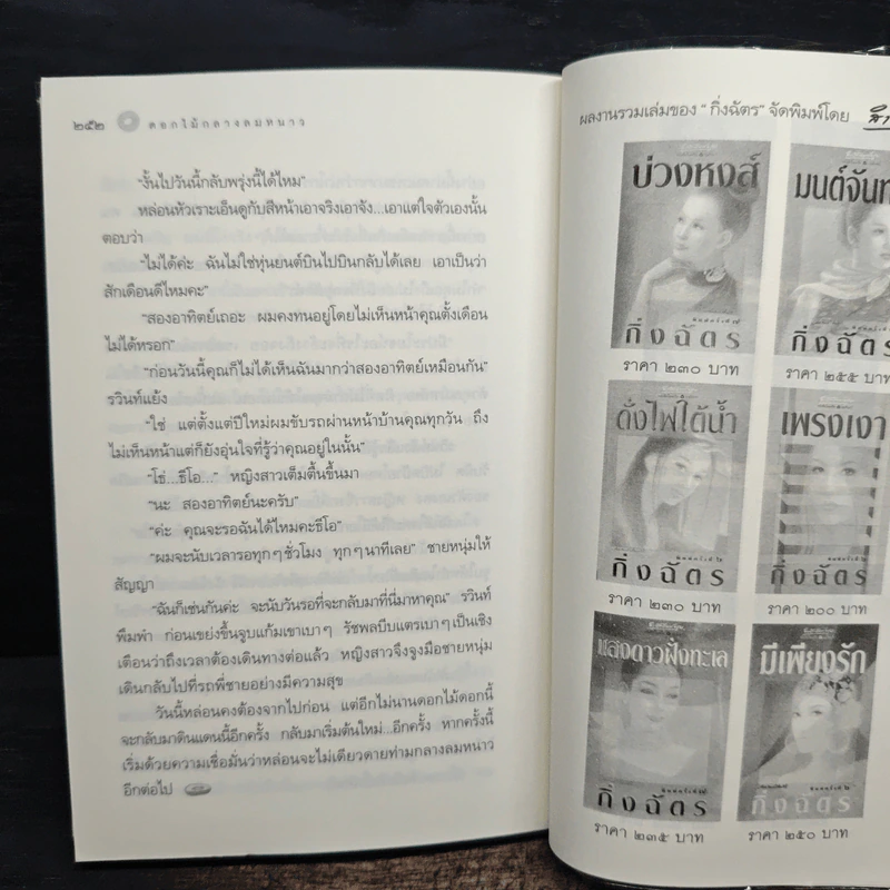 หิมะกลางทะเลทราย - กิ่งฉัตร รูปที่ 9